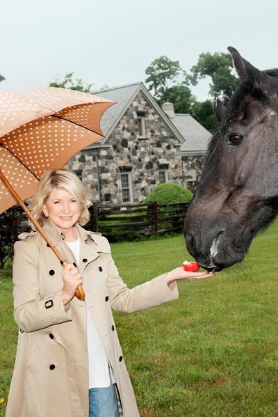 玛莎·斯图尔特的写真