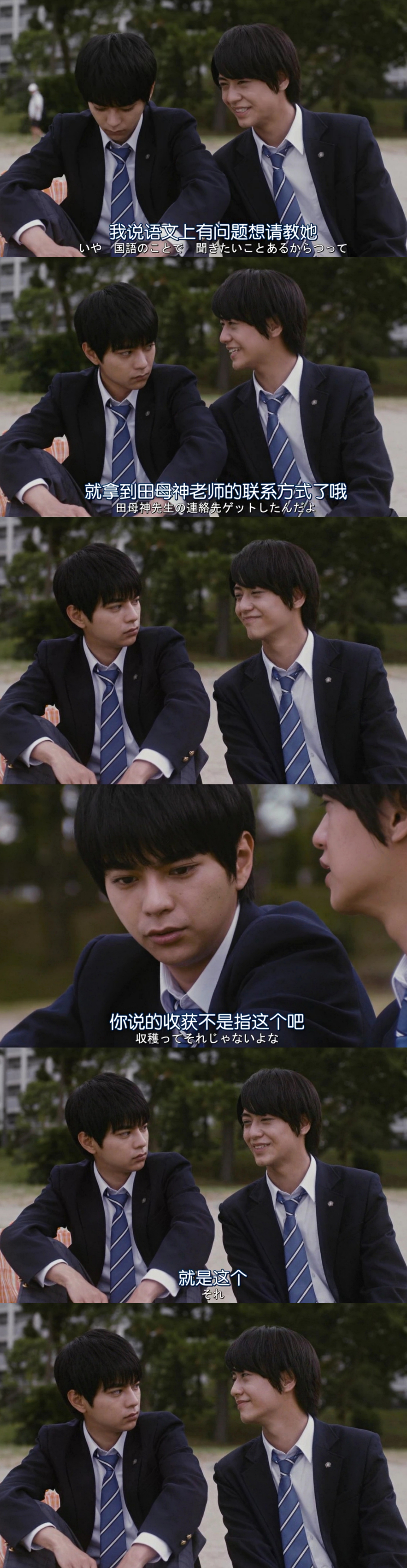 高桥海人的写真-中弥