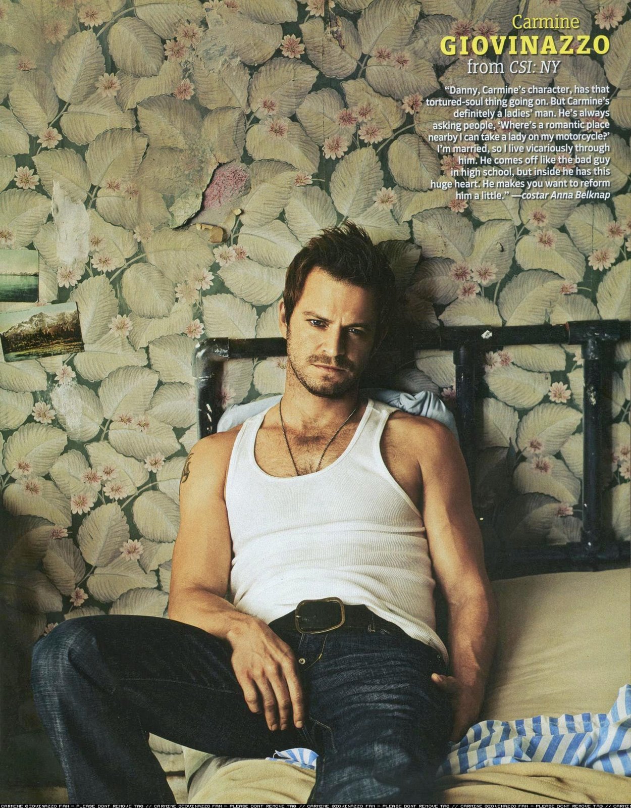 卡迈因·吉欧凡纳佐的写真