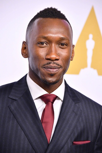 马赫沙拉·阿里的写真