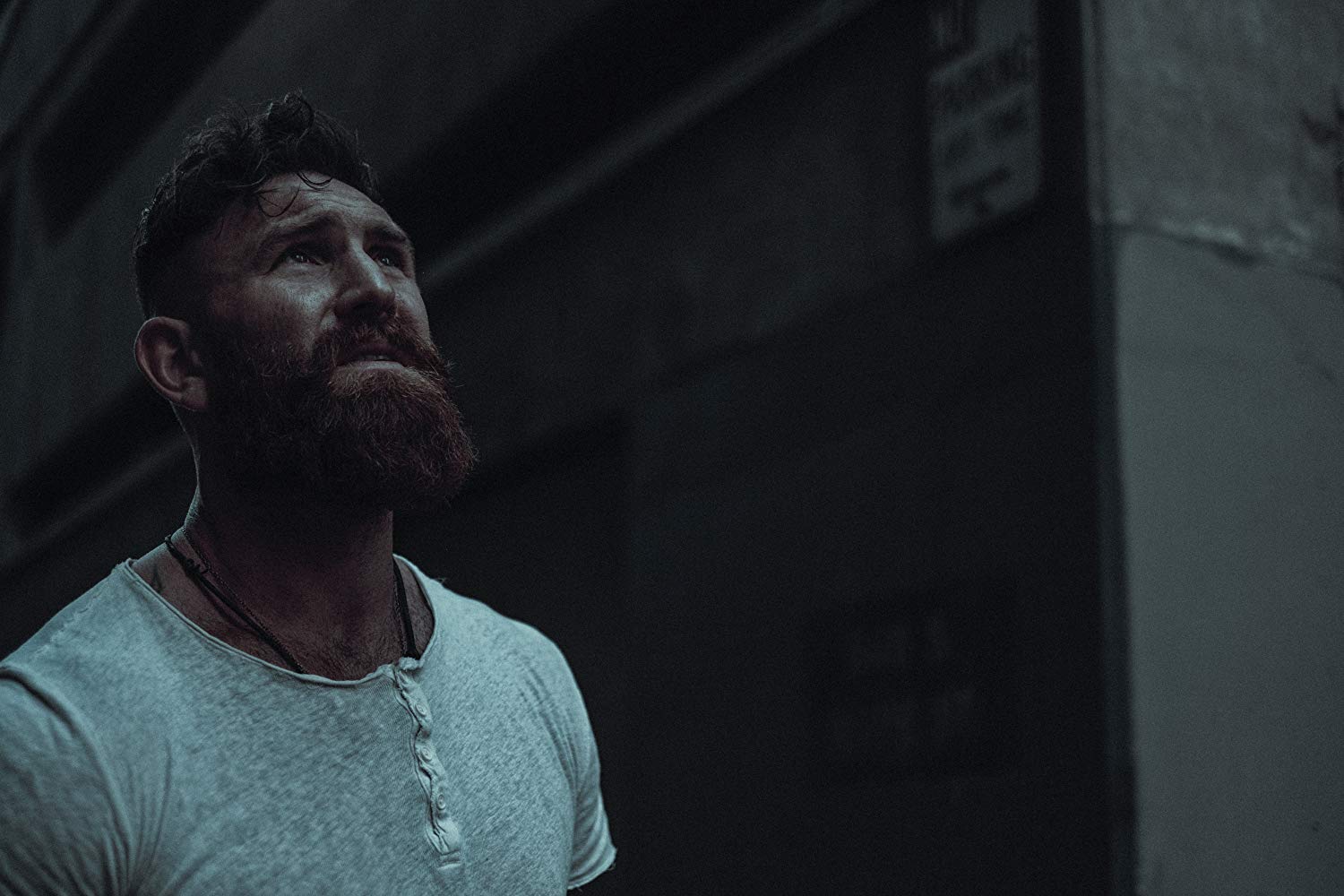 德文·隆恩的写真