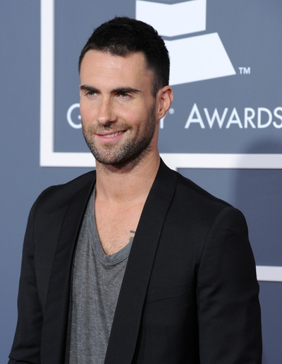 亚当·莱文的写真