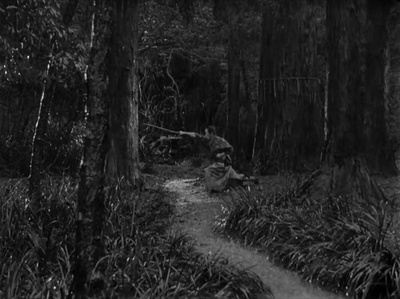 宫口精二的写真-七武士