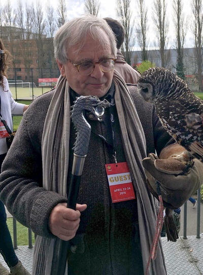 西尔维斯特·迈可伊的写真-褐袍巫师