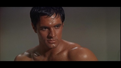 约翰·加文的写真-斯巴达克斯