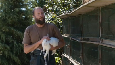 弗朗索瓦·达密安的写真-弗朗索瓦·达米昂 Fra...