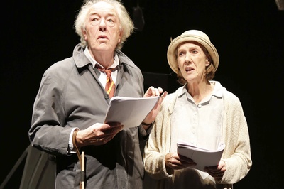 艾琳·阿特金斯的写真-2013年與Michael Ga...