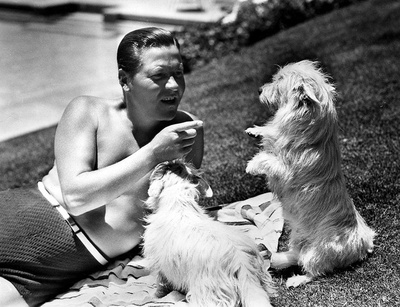 杰克·奥克的写真