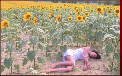 本上真奈美的写真