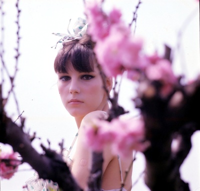 斯特法尼娅·桑德雷利的写真-仙女啊！