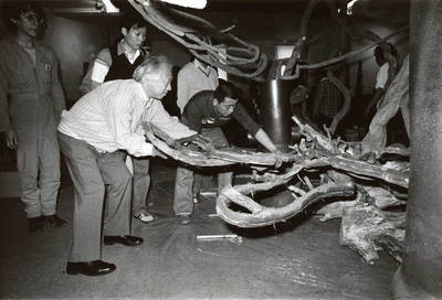 敕使河原宏的写真