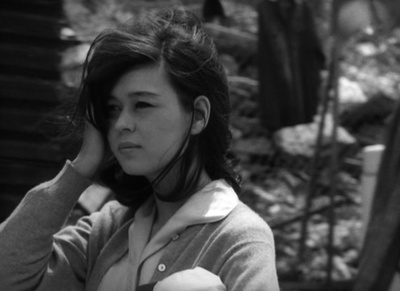 入江美树的写真