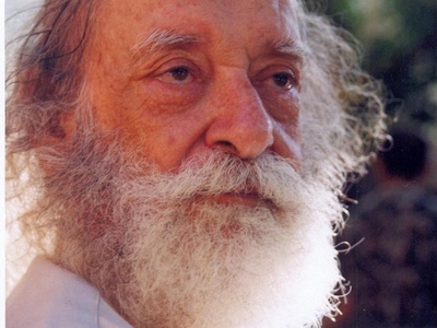 鲁伊·古雷拉的写真