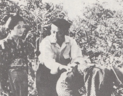 木下惠介的写真