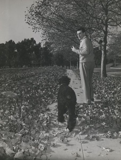 沃尔特·皮金的写真