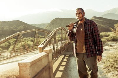 沃尔特·多纳多的写真