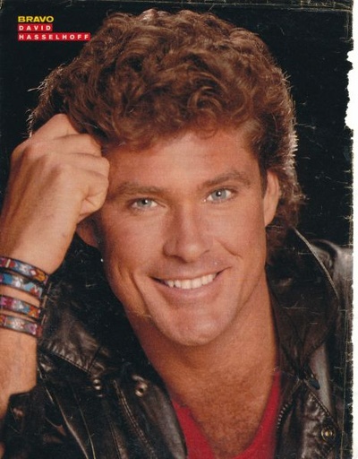 大卫·哈塞尔霍夫的写真