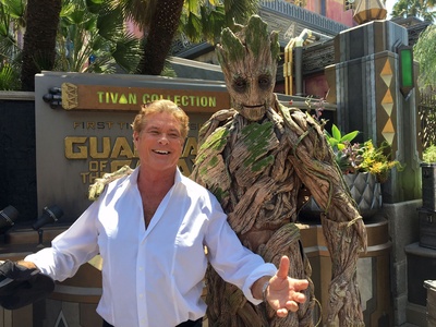 大卫·哈塞尔霍夫的写真