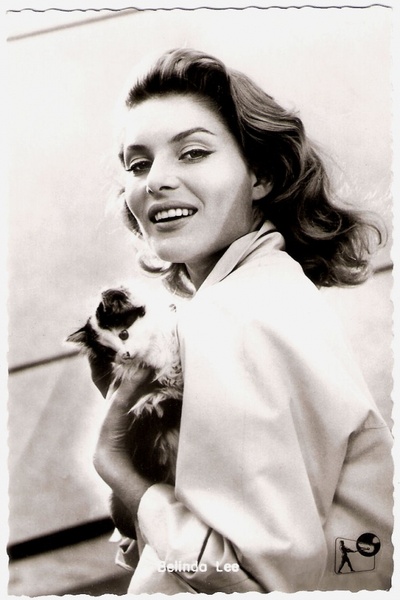 贝琳达·李的写真