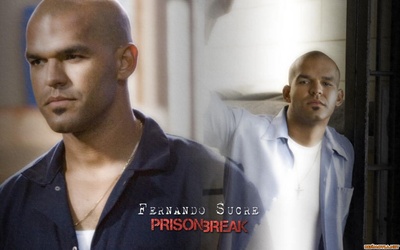 阿莫里·诺拉斯科的写真-越狱