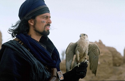 奥德·菲尔的写真