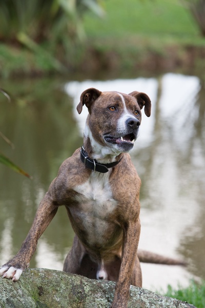 图斯的写真-Tuss one of our ener...