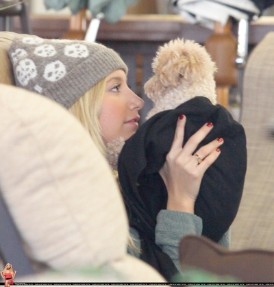 阿什丽·提斯代尔的写真