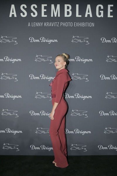 梅瑞迪斯·海格纳的写真