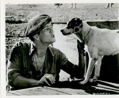 汤姆·康特奈的写真-1965 King Rat Tom C...