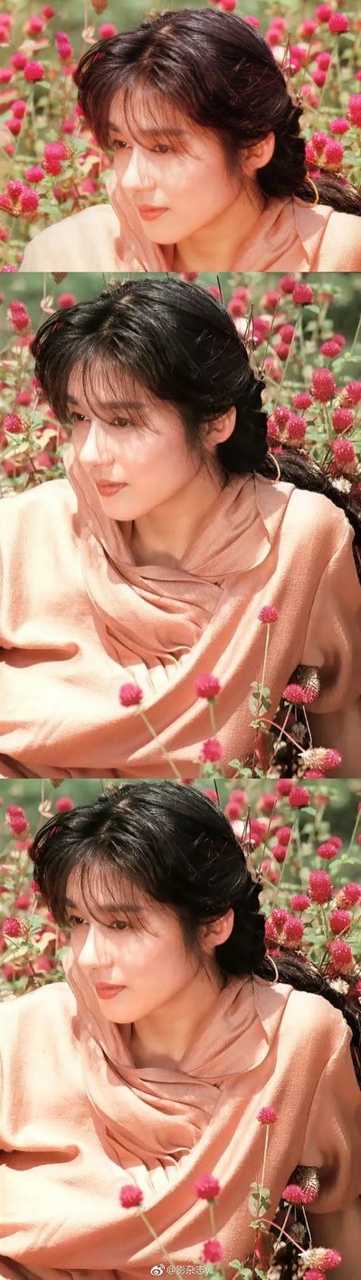 青山知可子的写真-青山知可子 Chikako A...