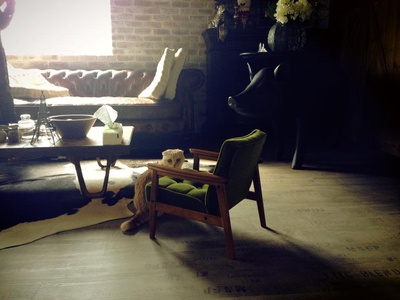 钱人豪的写真-你客廳的一角