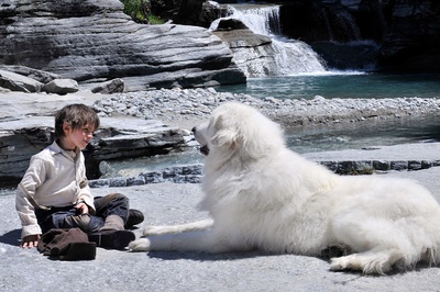费利克斯·博叙埃的写真