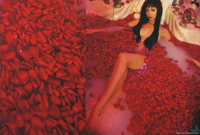 泽尻英龙华的写真