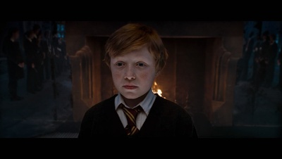 威廉姆·麦灵的写真-哈利·波特与凤凰社