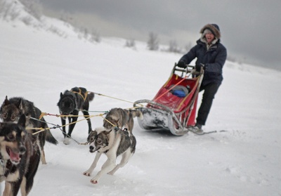 阿德里安·布薛特的写真-Advert for Samsung. T...