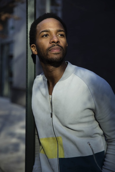 安德烈·霍兰的写真