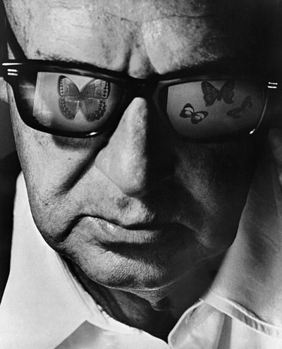 弗拉基米尔·纳博科夫的写真