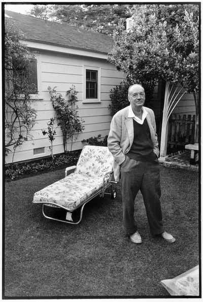 弗拉基米尔·纳博科夫的写真