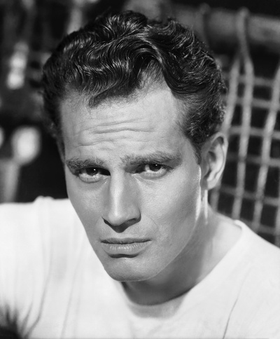 查尔登·海斯顿的写真