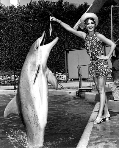 娜塔莉·伍德的写真