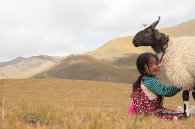 央金拉姆的写真