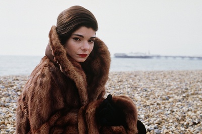 劳拉·圣吉亚科莫的写真