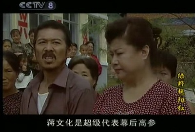 孙维民的写真-2005年电视剧《绿野...