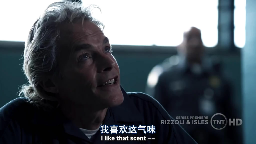 迈克尔·麦斯的写真-妙女神探里对Rizzoli十...