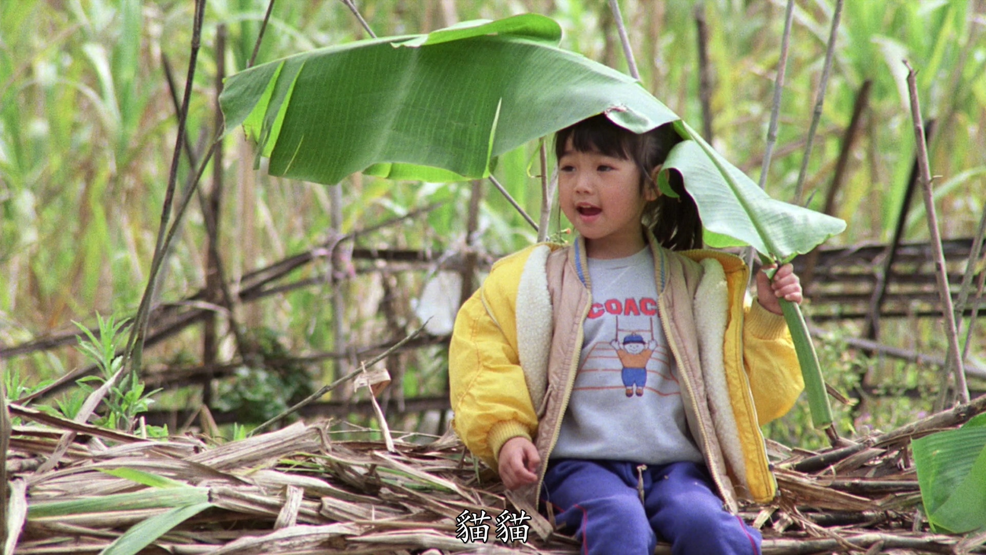 陈卓欣的写真-《伴我闖天涯》