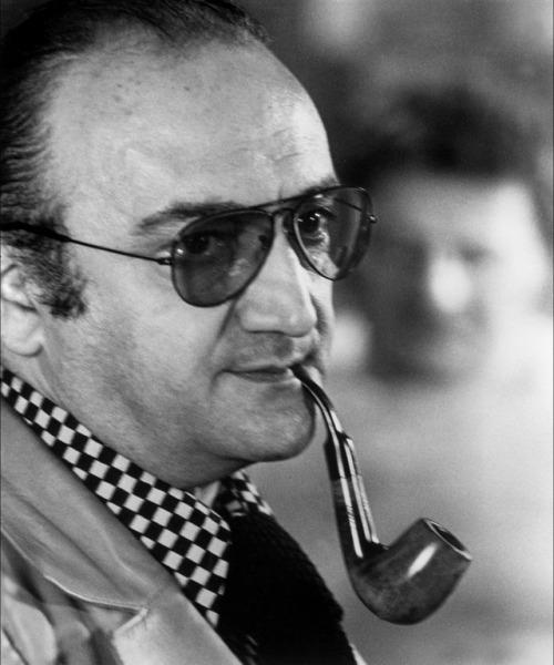 亨利·韦纳伊的写真