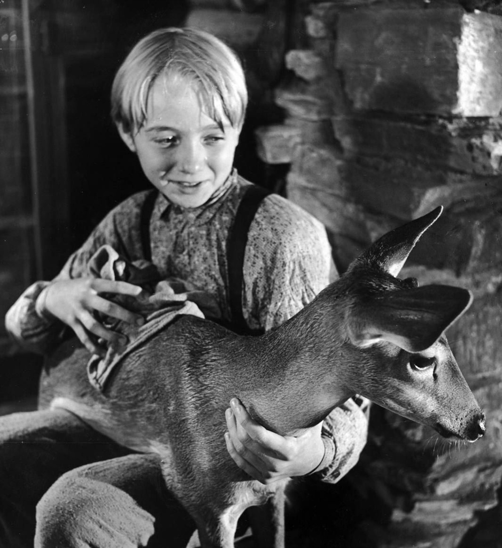 小克劳德·贾曼的写真-《鹿苑长春》剧照。