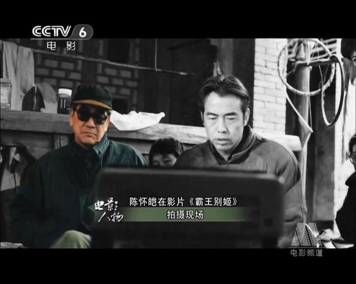 陈怀皑的写真-陈怀皑在《霸王别姬》...