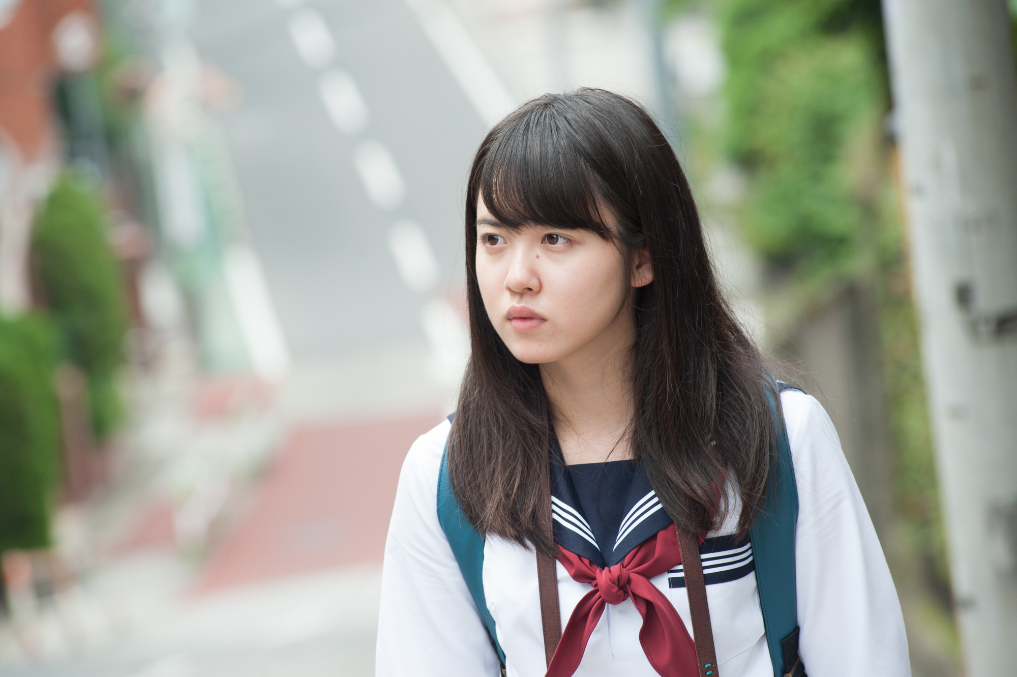 藤井武美的写真