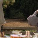 米娅·法瑟吉尔